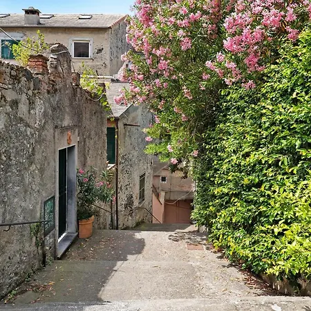 Casa Mare Appartamento *